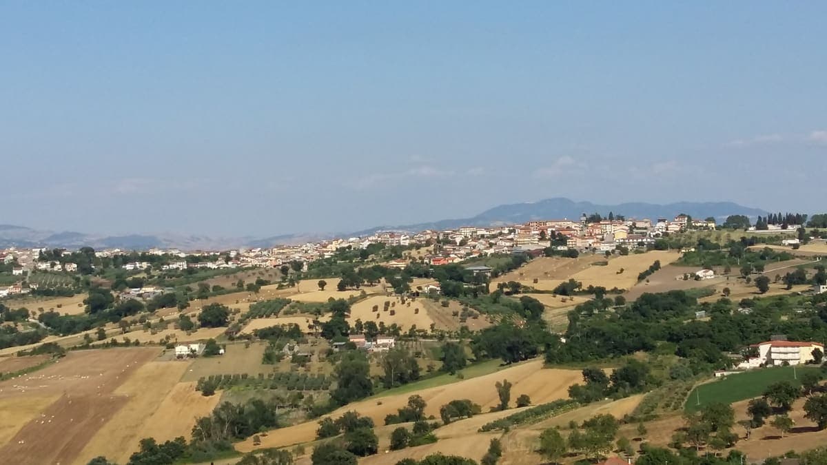 Bonito