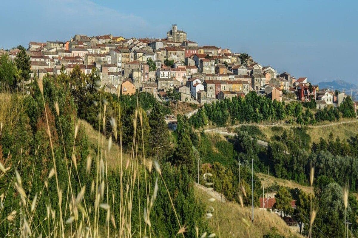 Greci