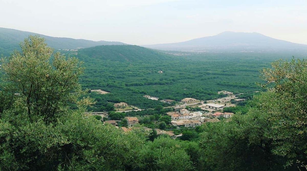 Pago del Vallo di Lauro